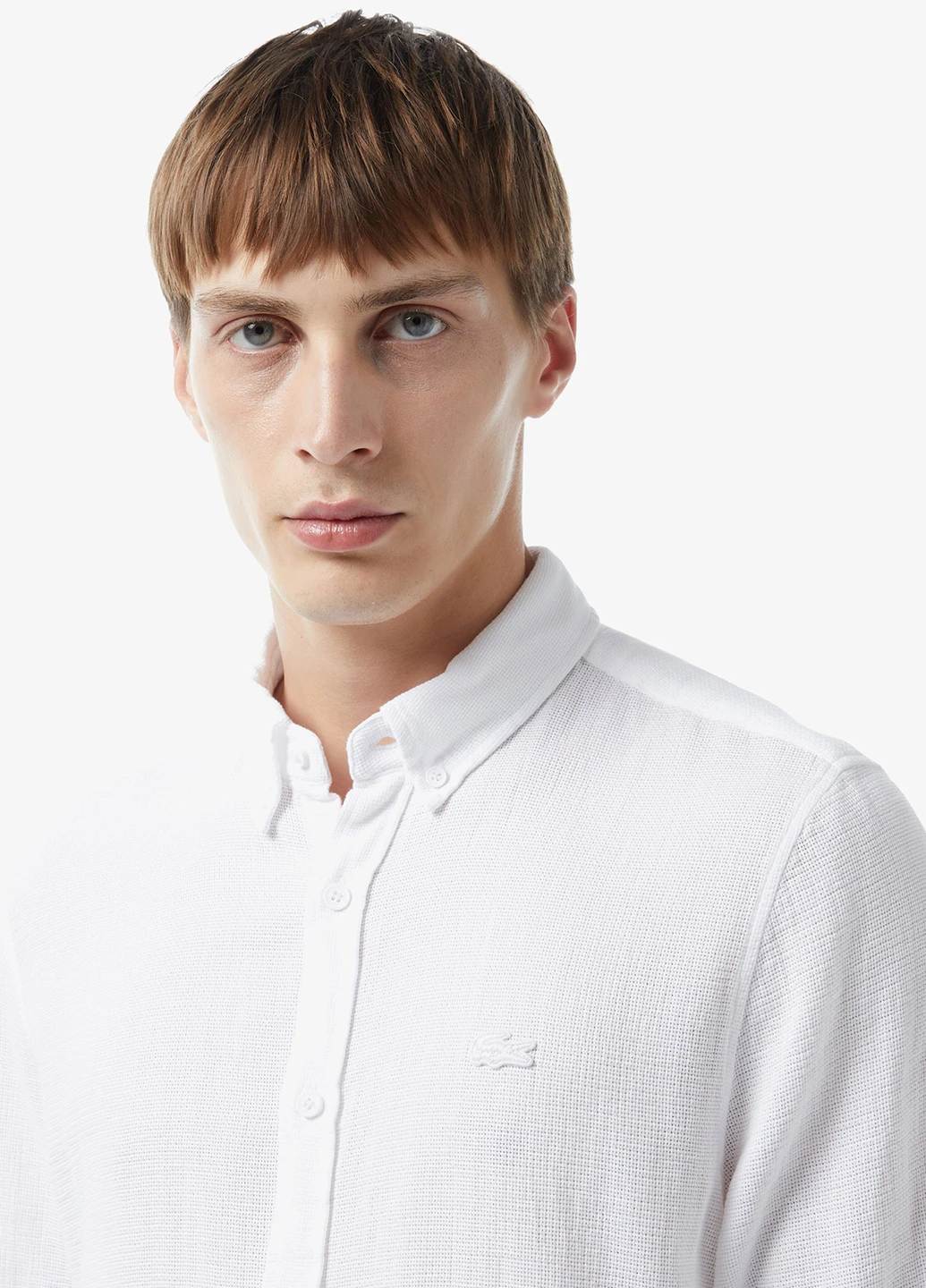 Сорочка Lacoste (298073151)