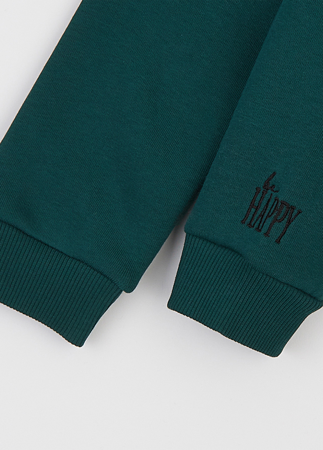 Смарагдовий демісезонний костюм (толстовка, штани) брючний Ляля