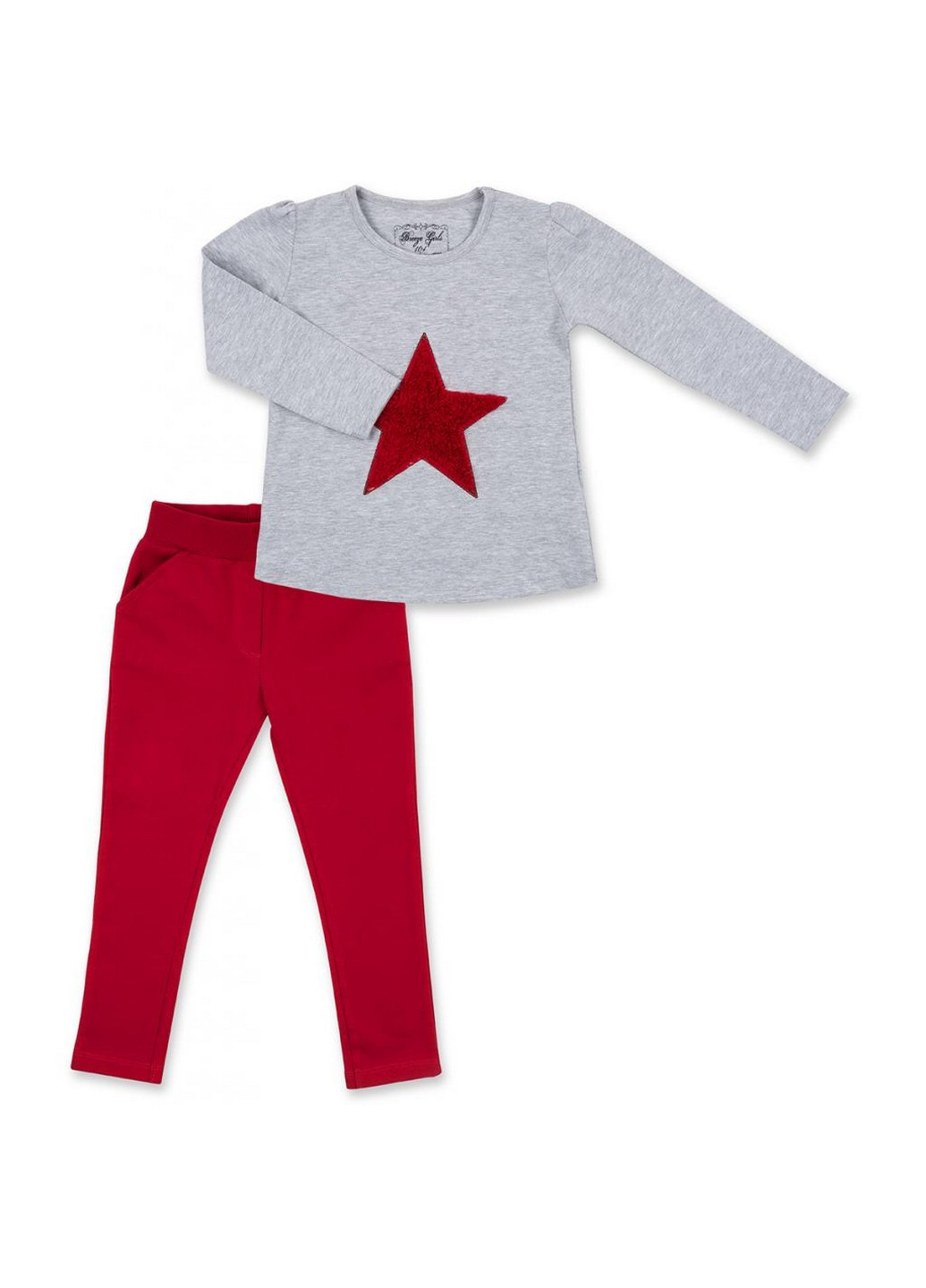 Красный демисезонный костюм десткий с объемной аппликацией (8401-104g-gray) Breeze