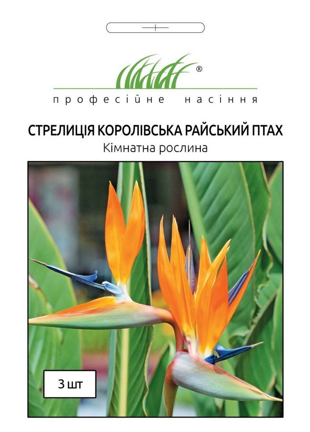 Семена Стрелиция Райская птица 3 шт Професійне насіння (215963519)