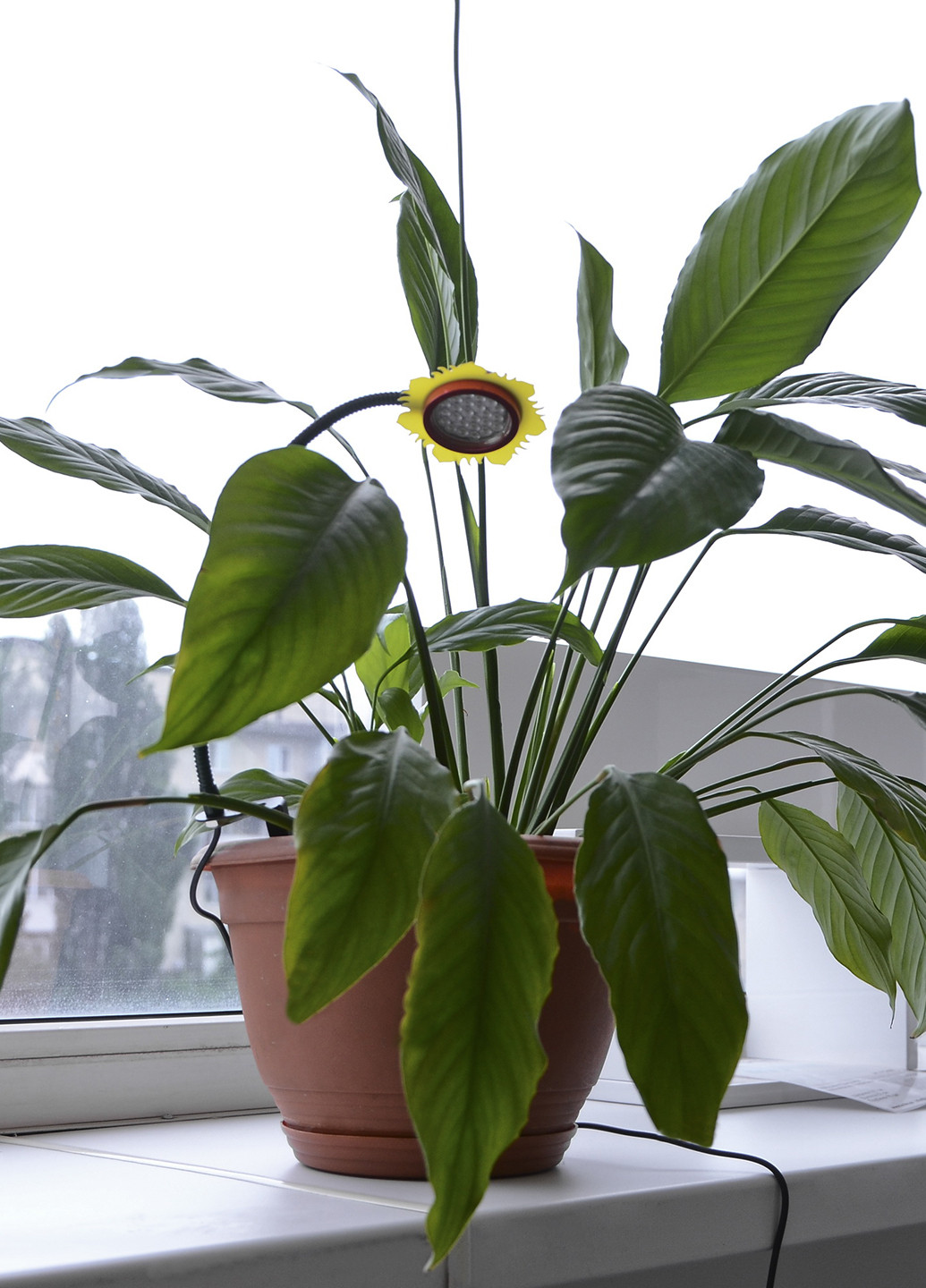 Світильник світлодіодний, 300х80 мм Brille (130564857)