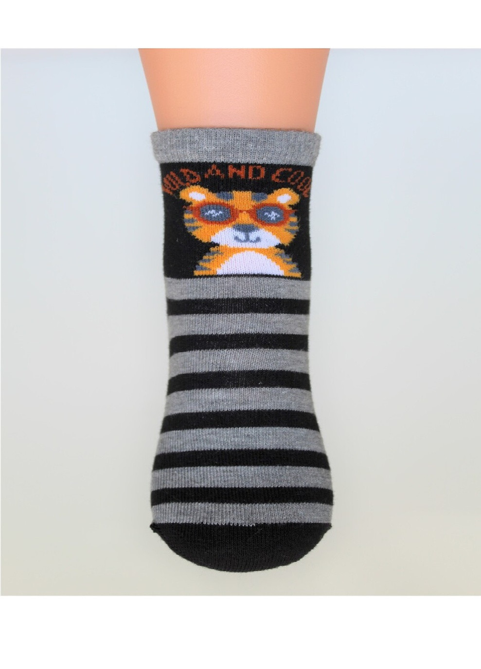 Шкарпетки для хлопчика (котон),, 7-8, navy Arti 200084 темно-сині повсякденні
