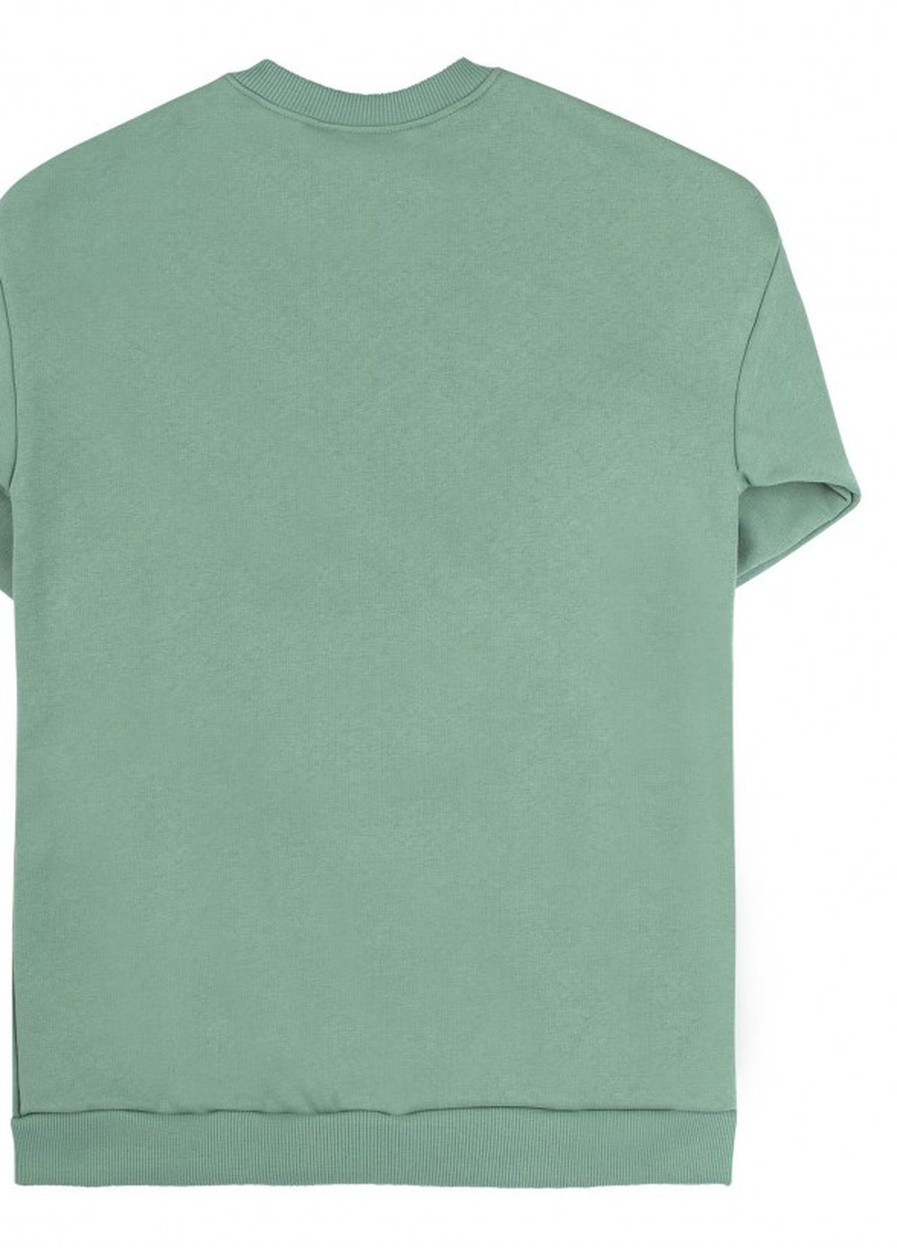 М'ятна сукня трикотажна з начосом бембі пл368 м'ятний Бемби (254492130)