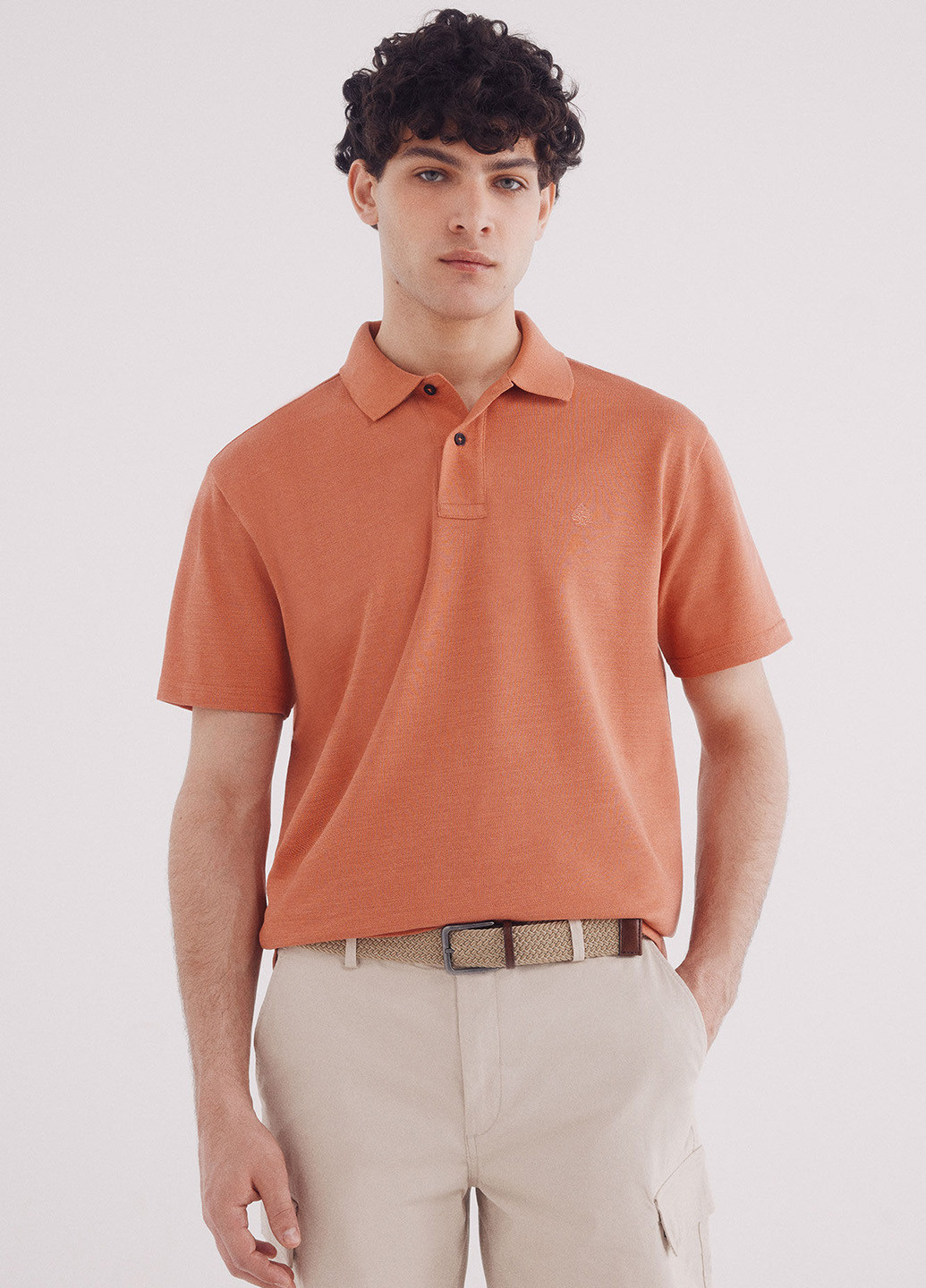 Поло Springfield (342058875)