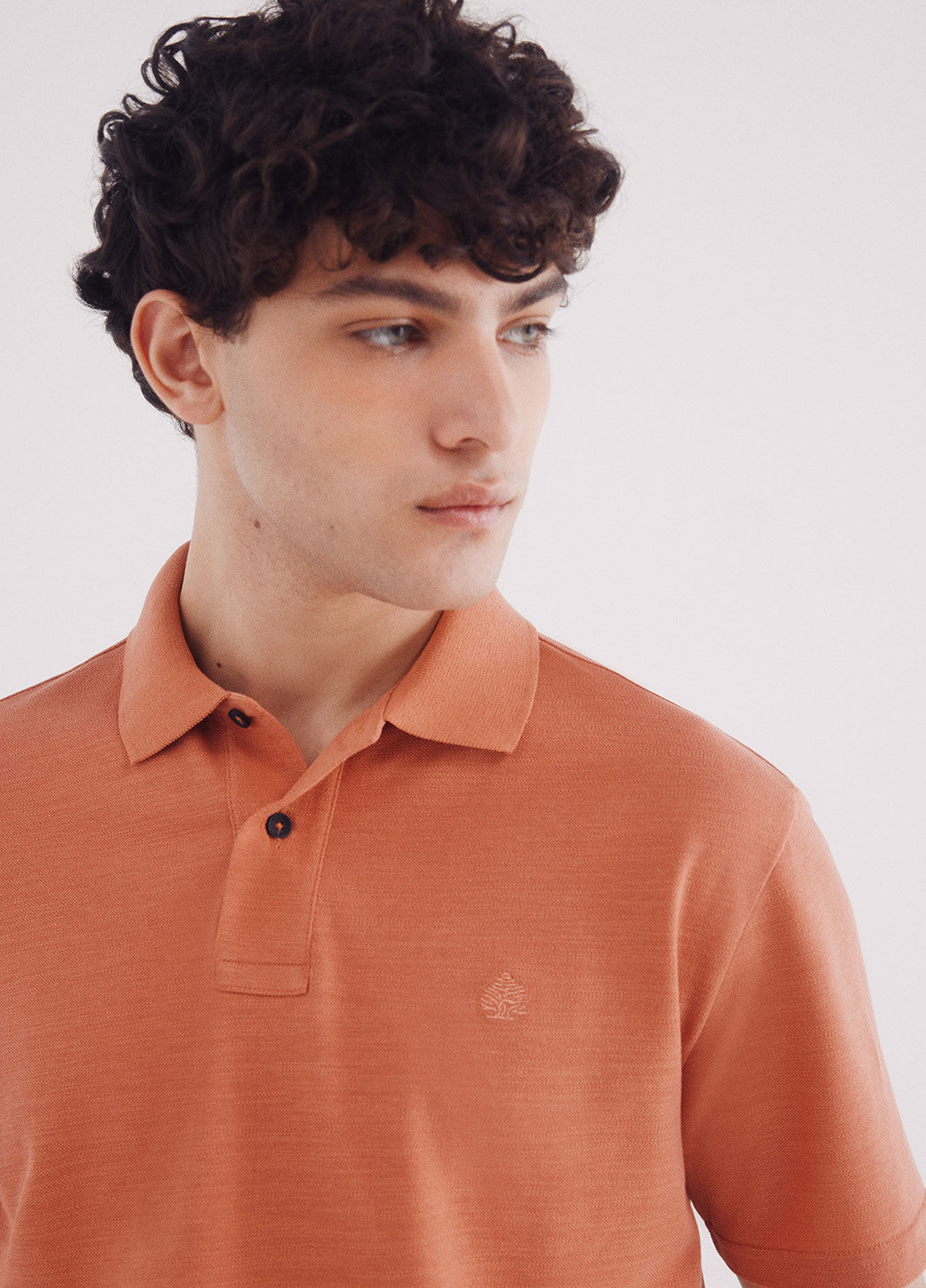 Поло Springfield (342058875)