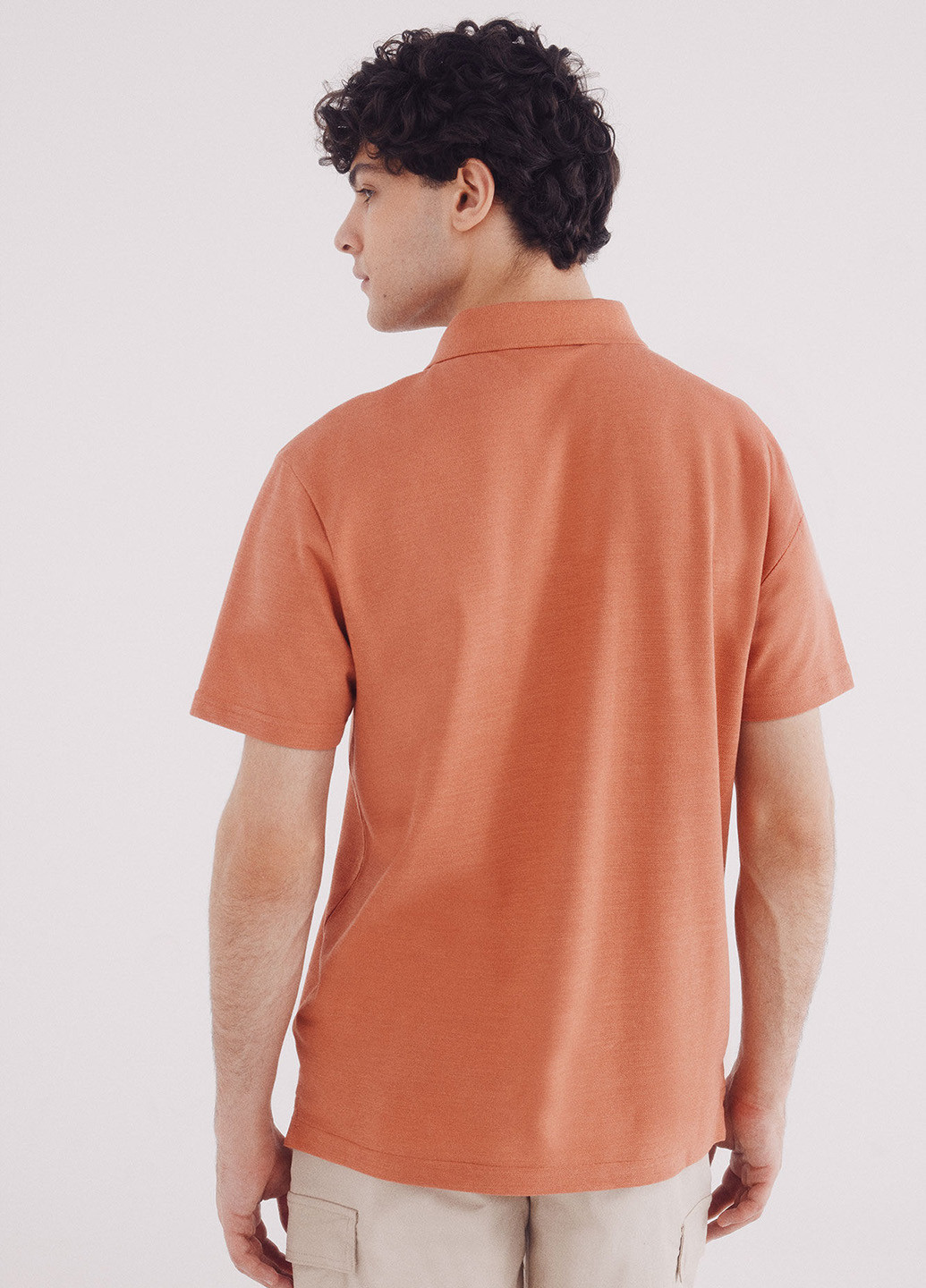 Поло Springfield (342058875)