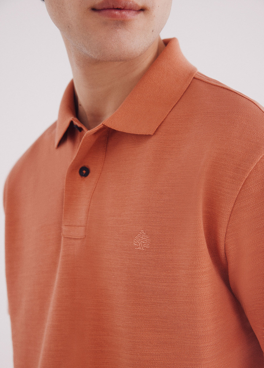 Поло Springfield (342058875)