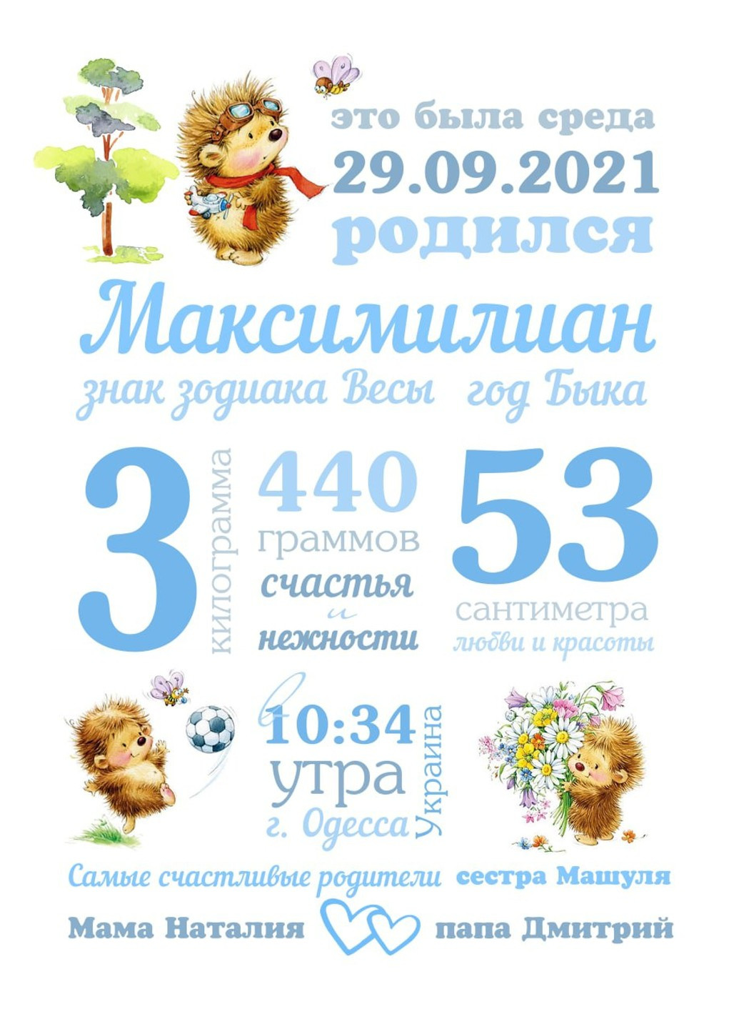 Метрика постер Їжачок HeyBaby (254913543)