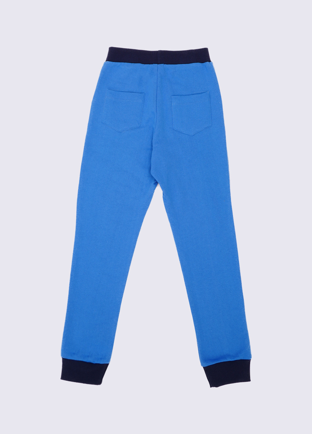 Светло-синие спортивные демисезонные брюки зауженные Vidoli