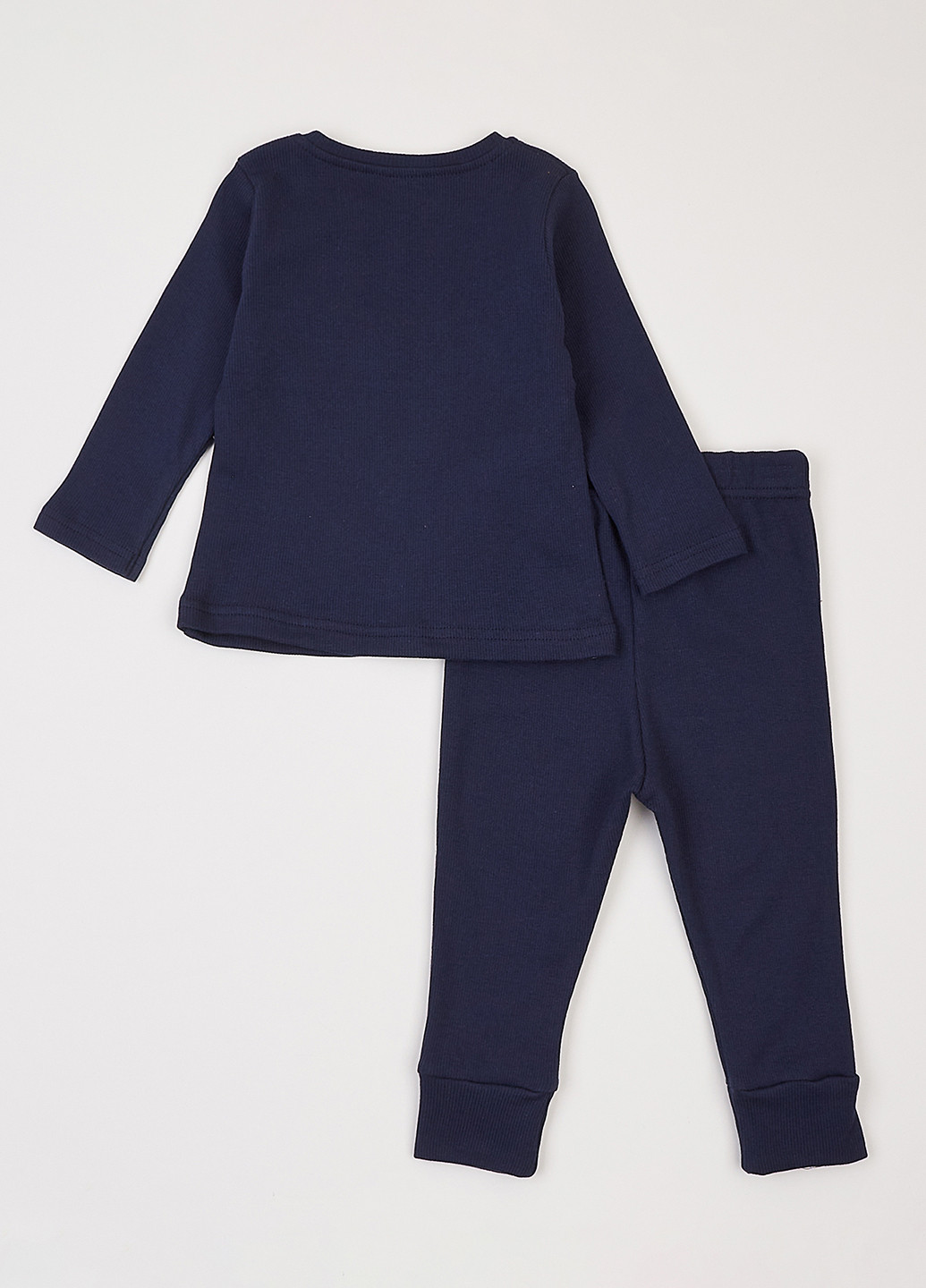 Синій демісезонний комплект (лонгслів, штани) Фламинго