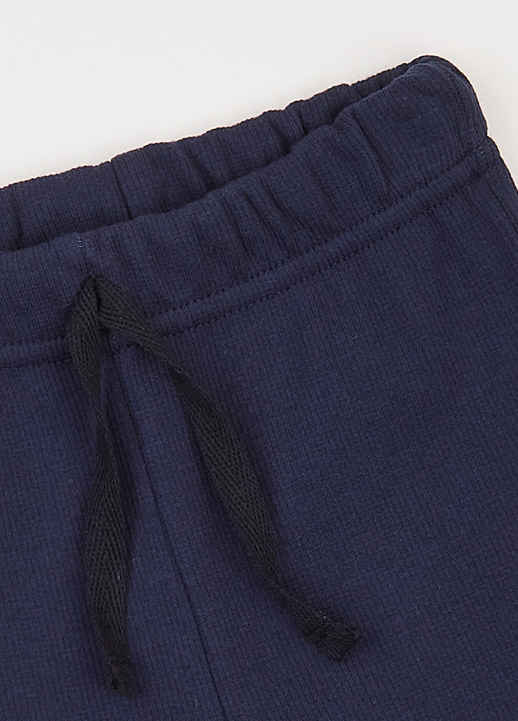 Синій демісезонний комплект (лонгслів, штани) Фламинго