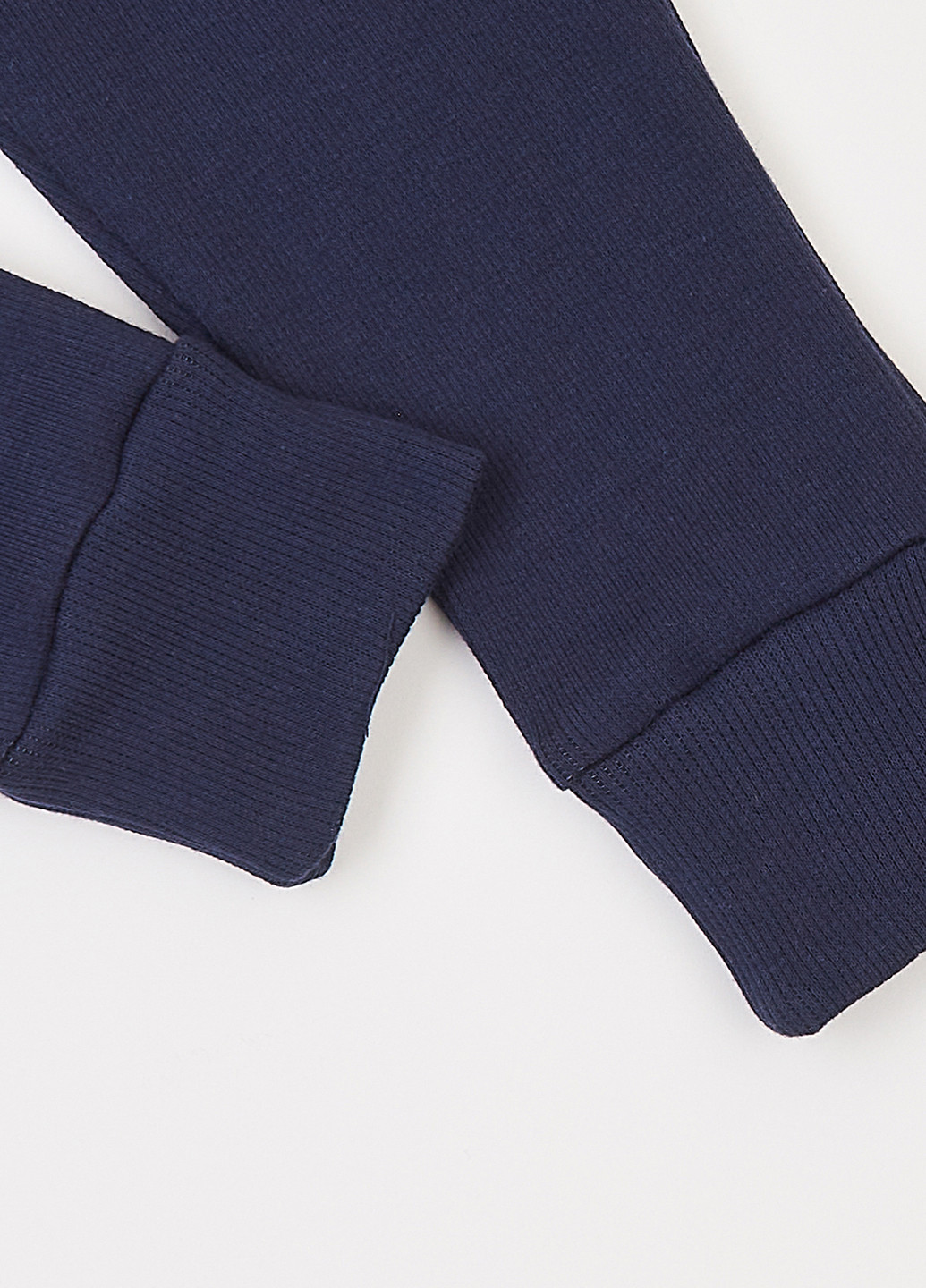 Синій демісезонний комплект (лонгслів, штани) Фламинго