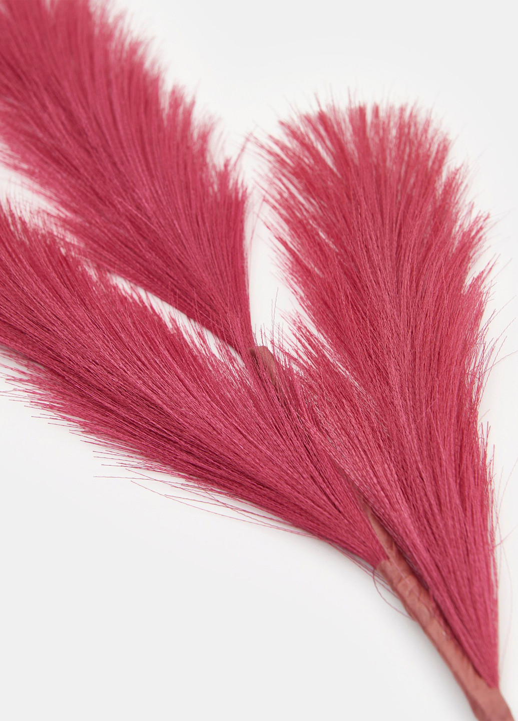 Квіти Sinsay (352192824)