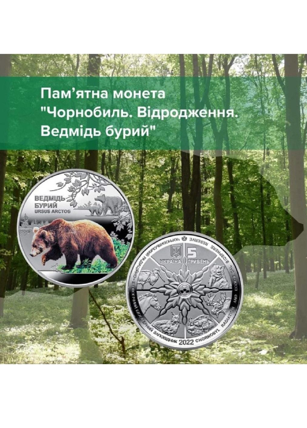 Монета Украина Медведь бурый Чернобыль Возрождение сувенирной упаковки Blue Orange (254762058)