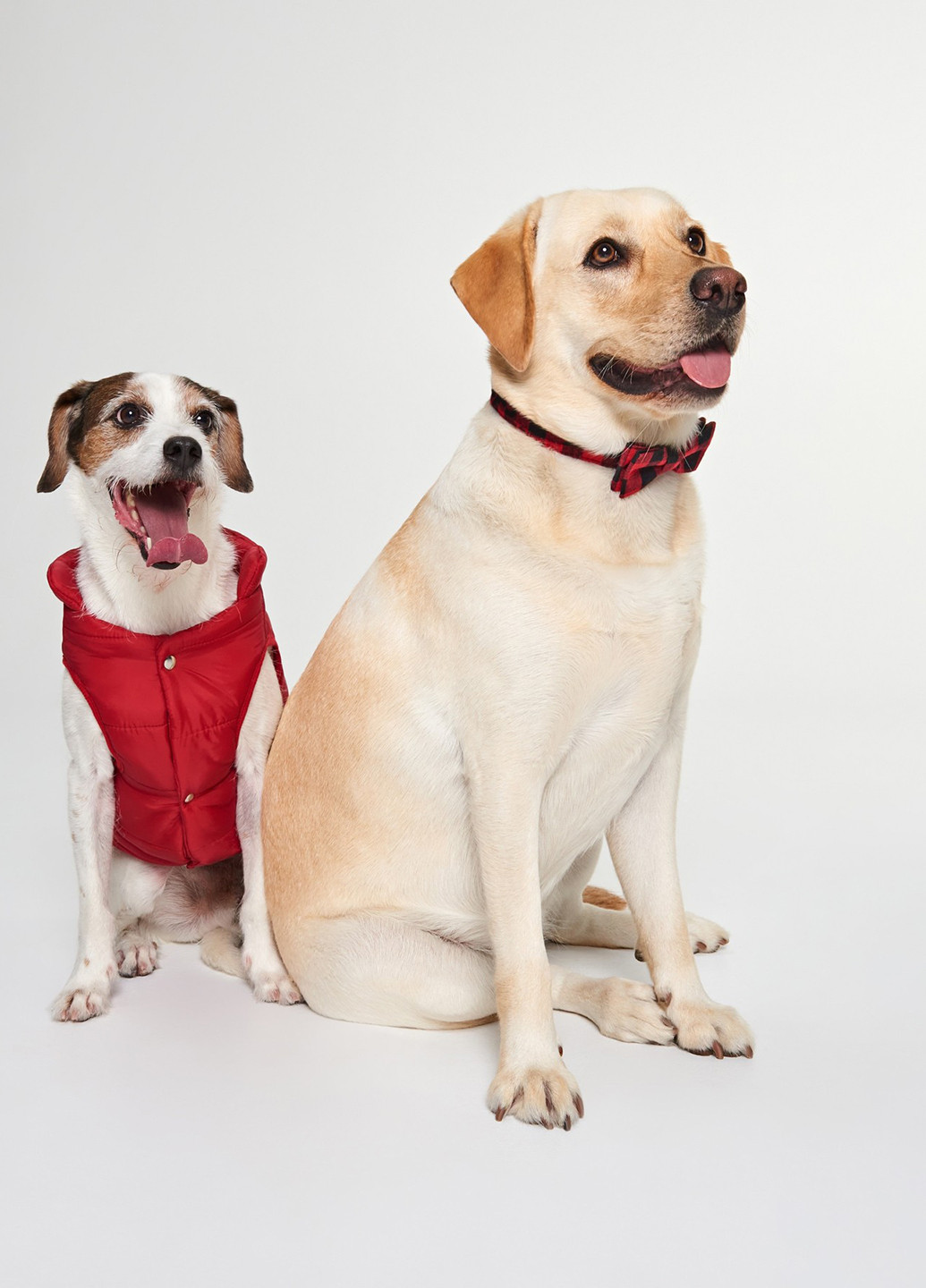 Бабочка Sinsay (352189968)