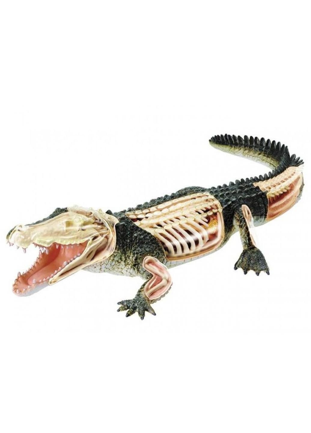 Пазл Об'ємна анатомічна модель Крокодил (FM-622034) 4D Master (249984425)