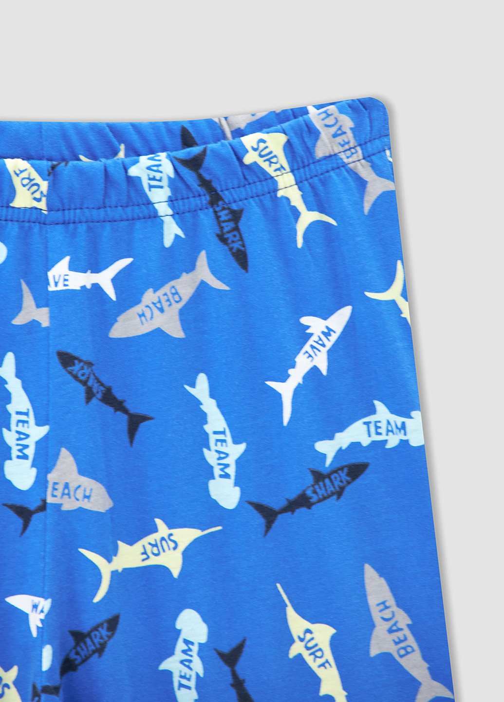 Серо-голубая всесезон пижама (лонгслив, брюки) лонгслив + брюки DeFacto