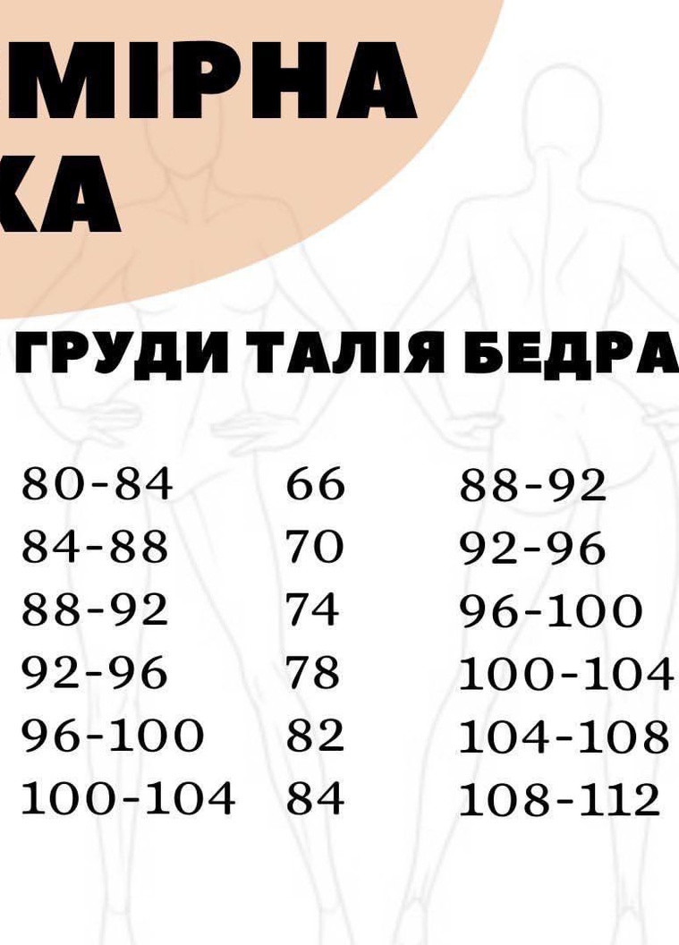 Спортивный велюровый костюм V.Velika (253636854)