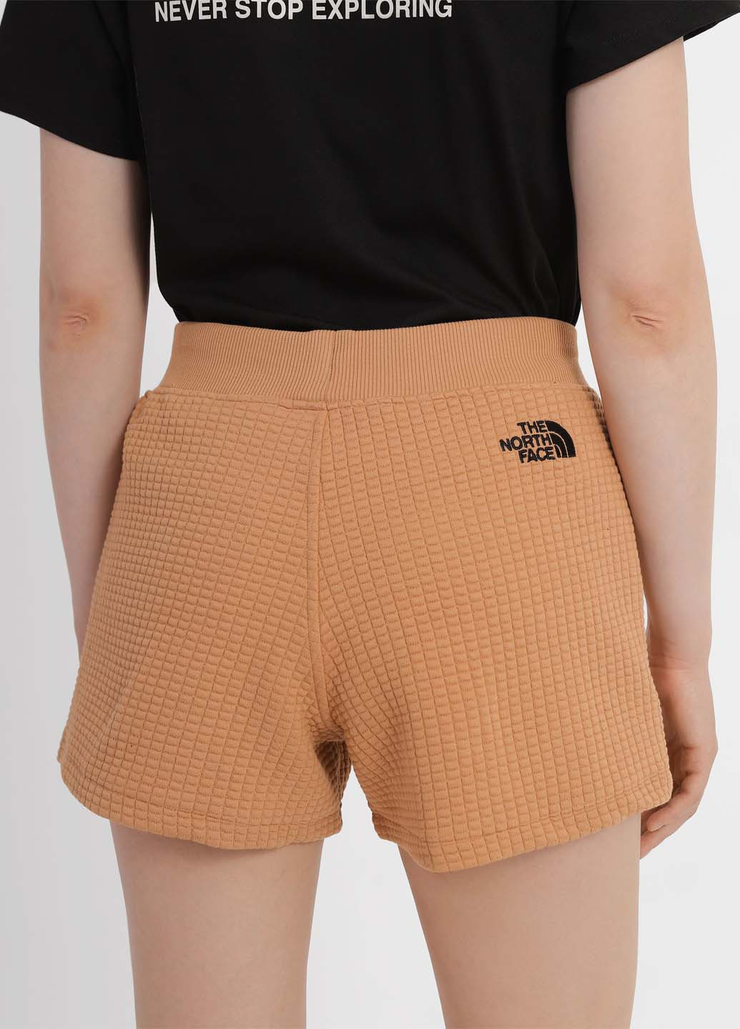 Шорты The North Face (363353883)