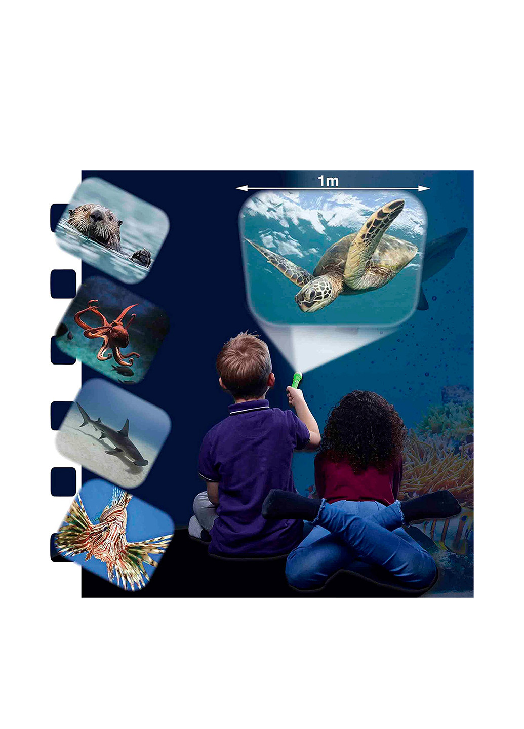 Ліхтарик-проектор Мешканці морів BRAINSTORM TOYS (257257634)