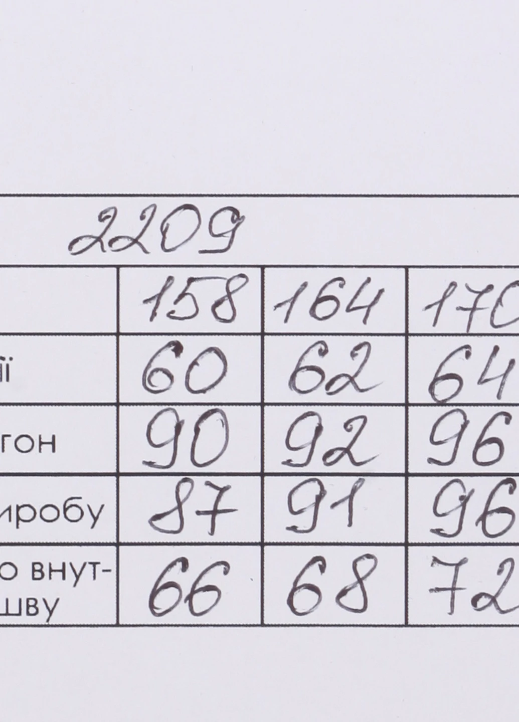 Спортивні штани Atescan (254063446)