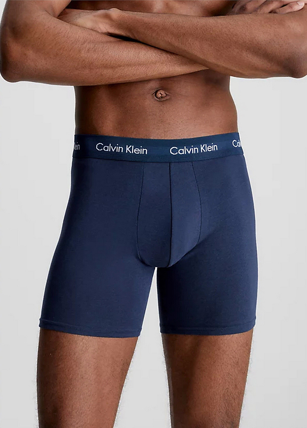 Трусы (3 шт.) Calvin Klein Underwear (329047432)