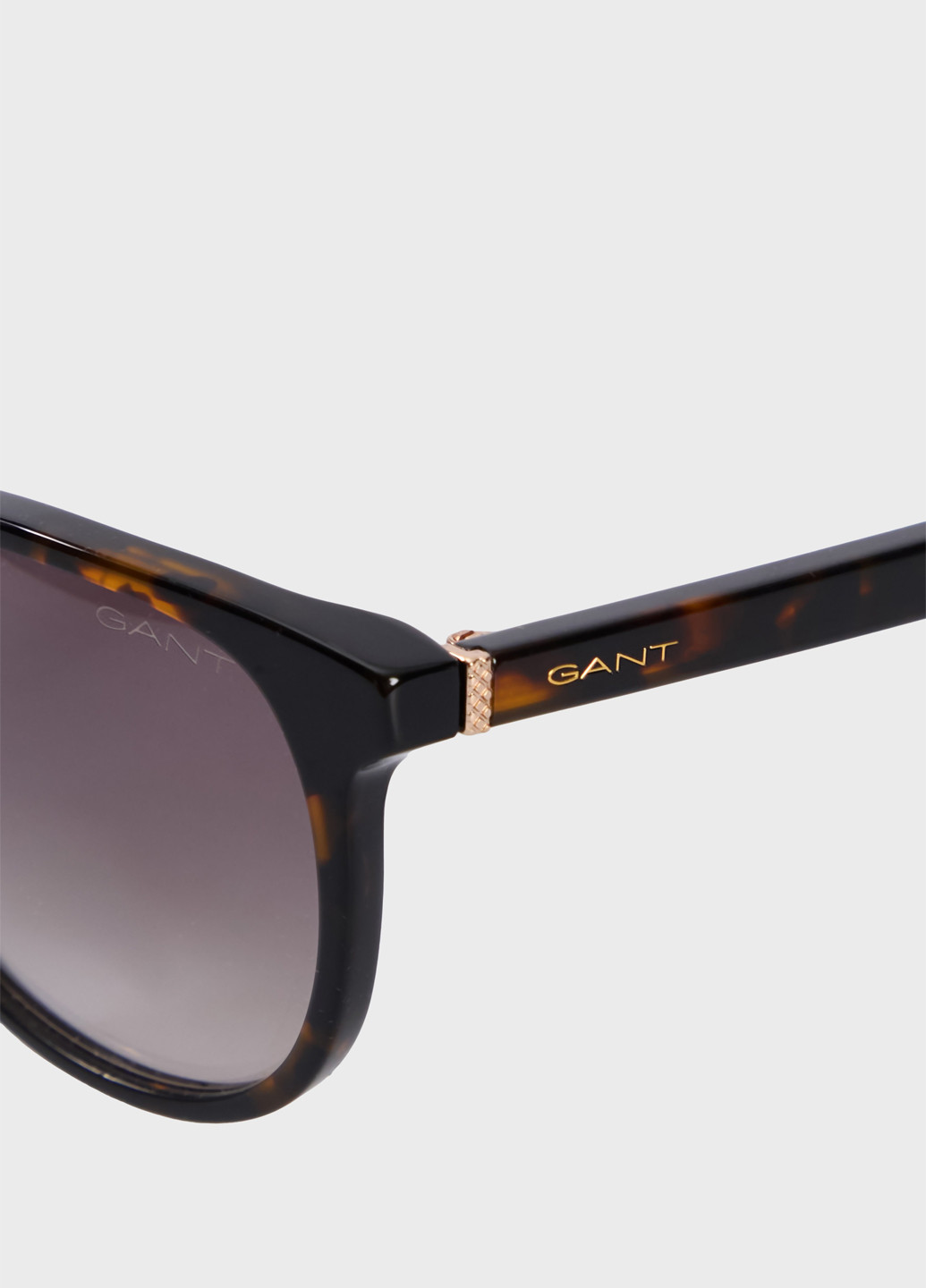 Очки Gant (347731688)