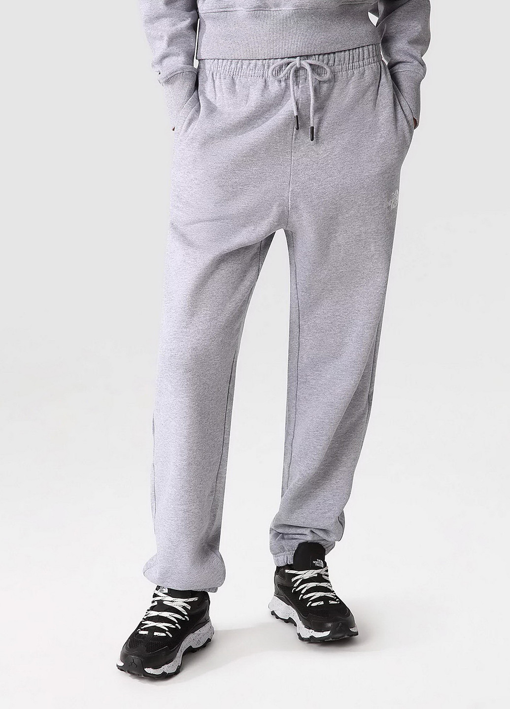 Штани The North Face NF0A7ZJFDYX1 (327368902)