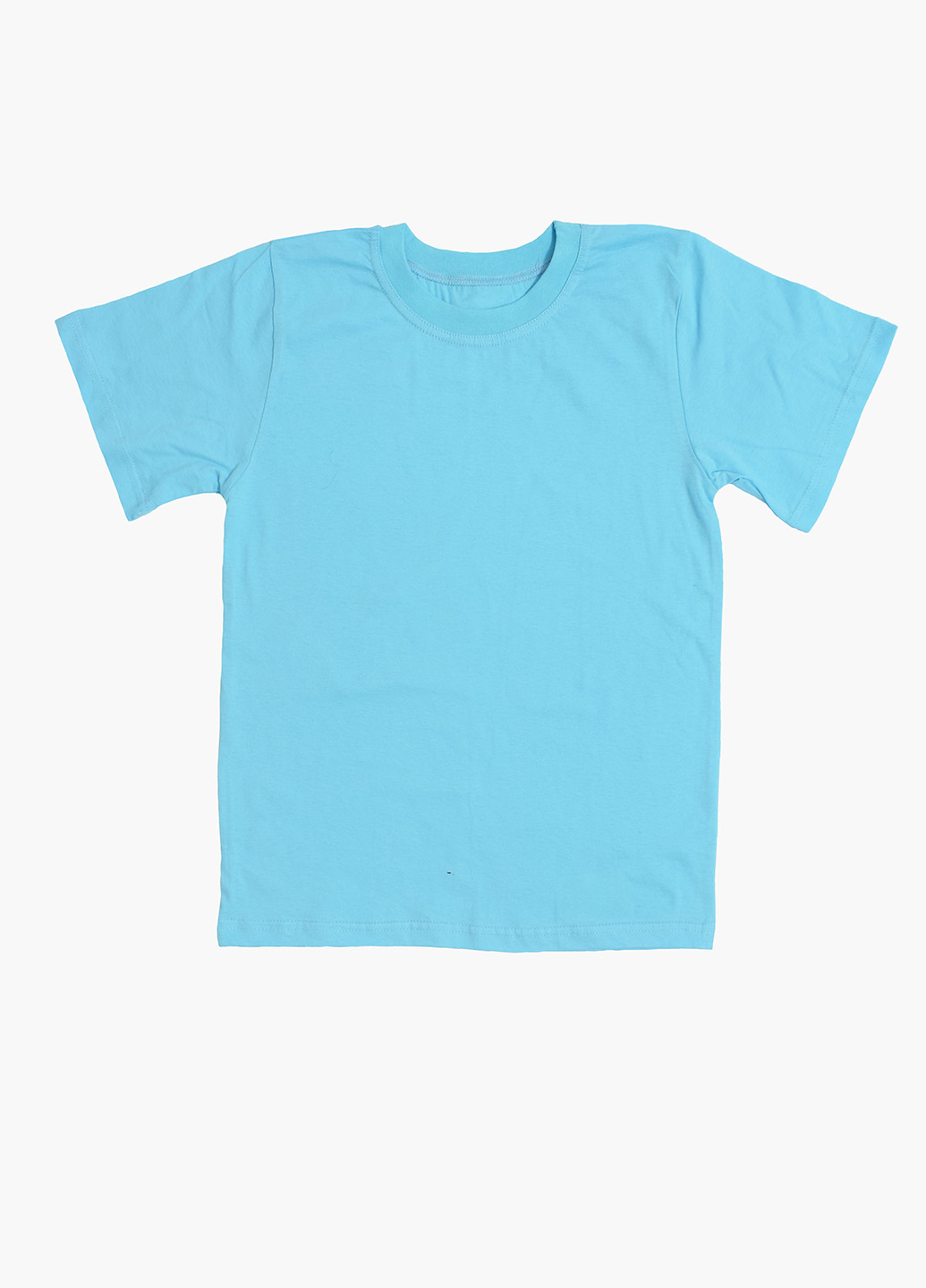 Блакитна літня футболка Фламинго