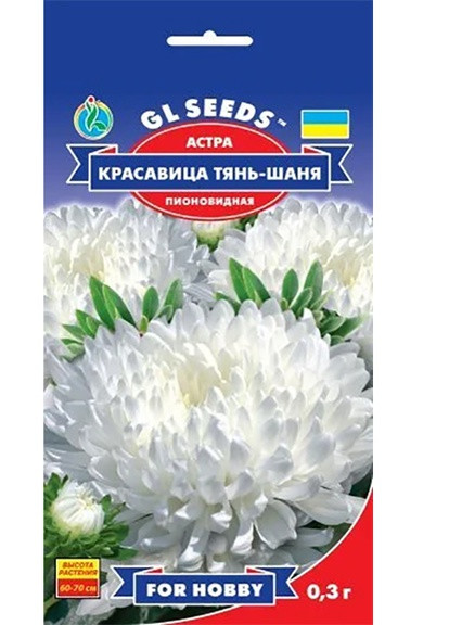 Семена Астра Красавица Тянь-Шаня 0,3 г GL Seeds (252372248)