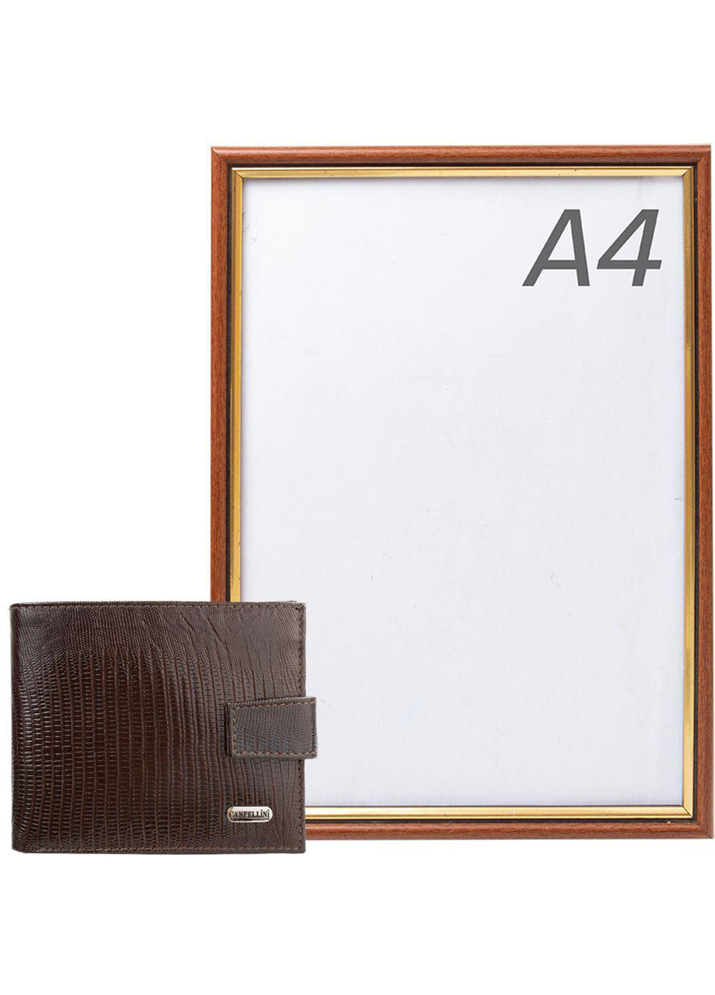 Мужской кожаный кошелек 11,5х9,5х2,5 см Canpellini (252131284)