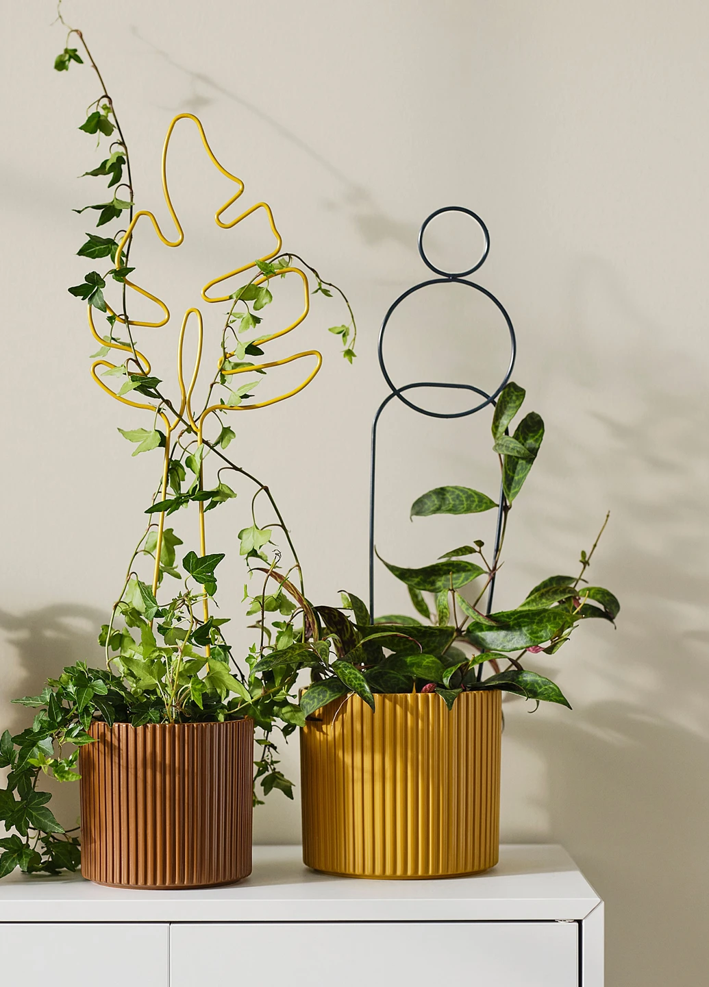 Опора для рослин (2 шт.), 21х64 см IKEA (293097867)