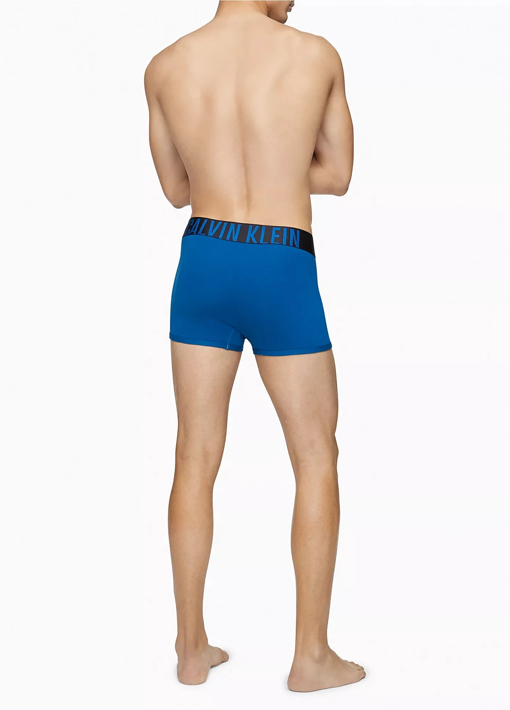 Труси (3 шт.) Calvin Klein (261773376)
