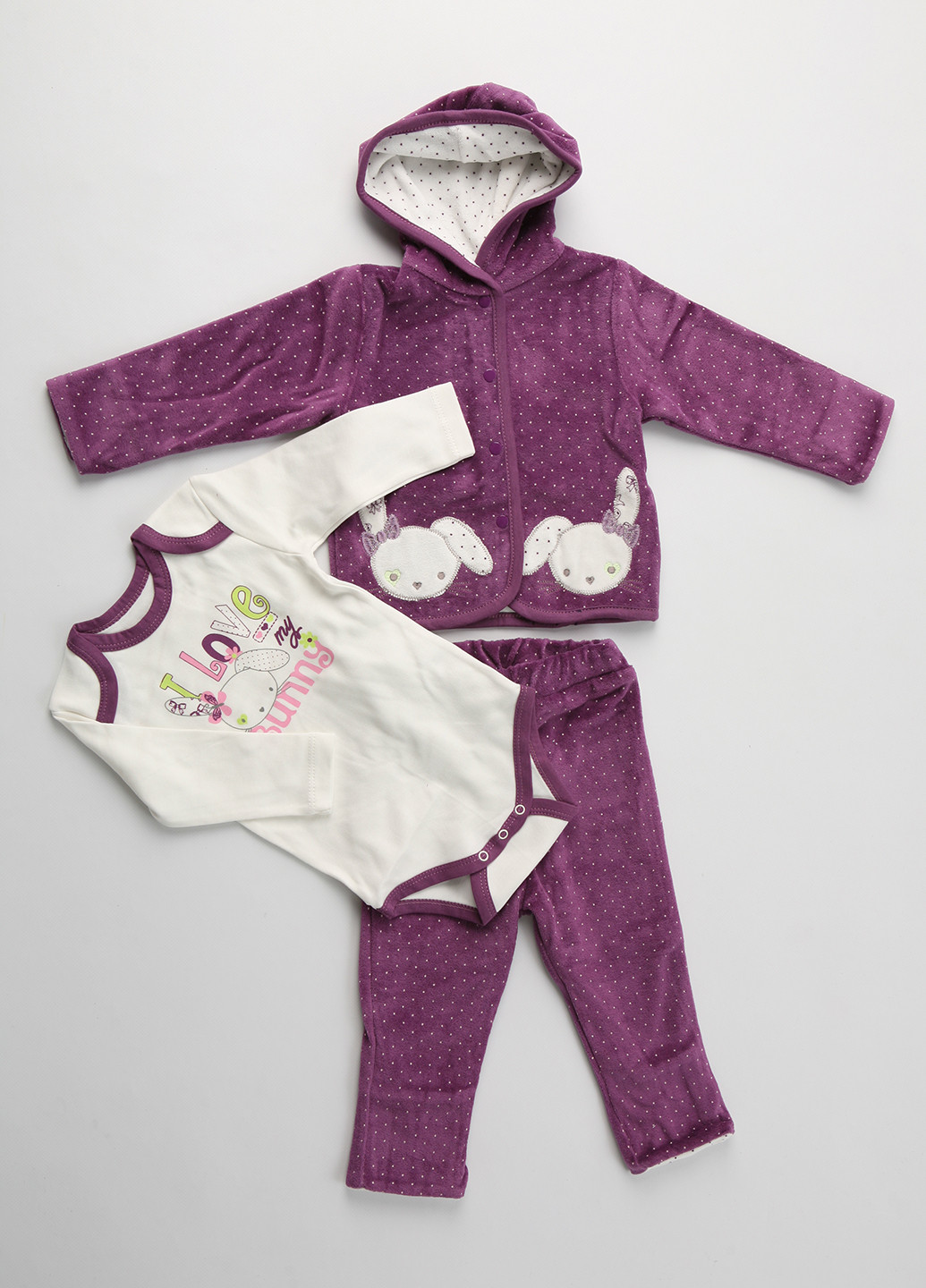 Фиолетовый демисезонный комплект (боди, толстовка, брюки) Фламинго