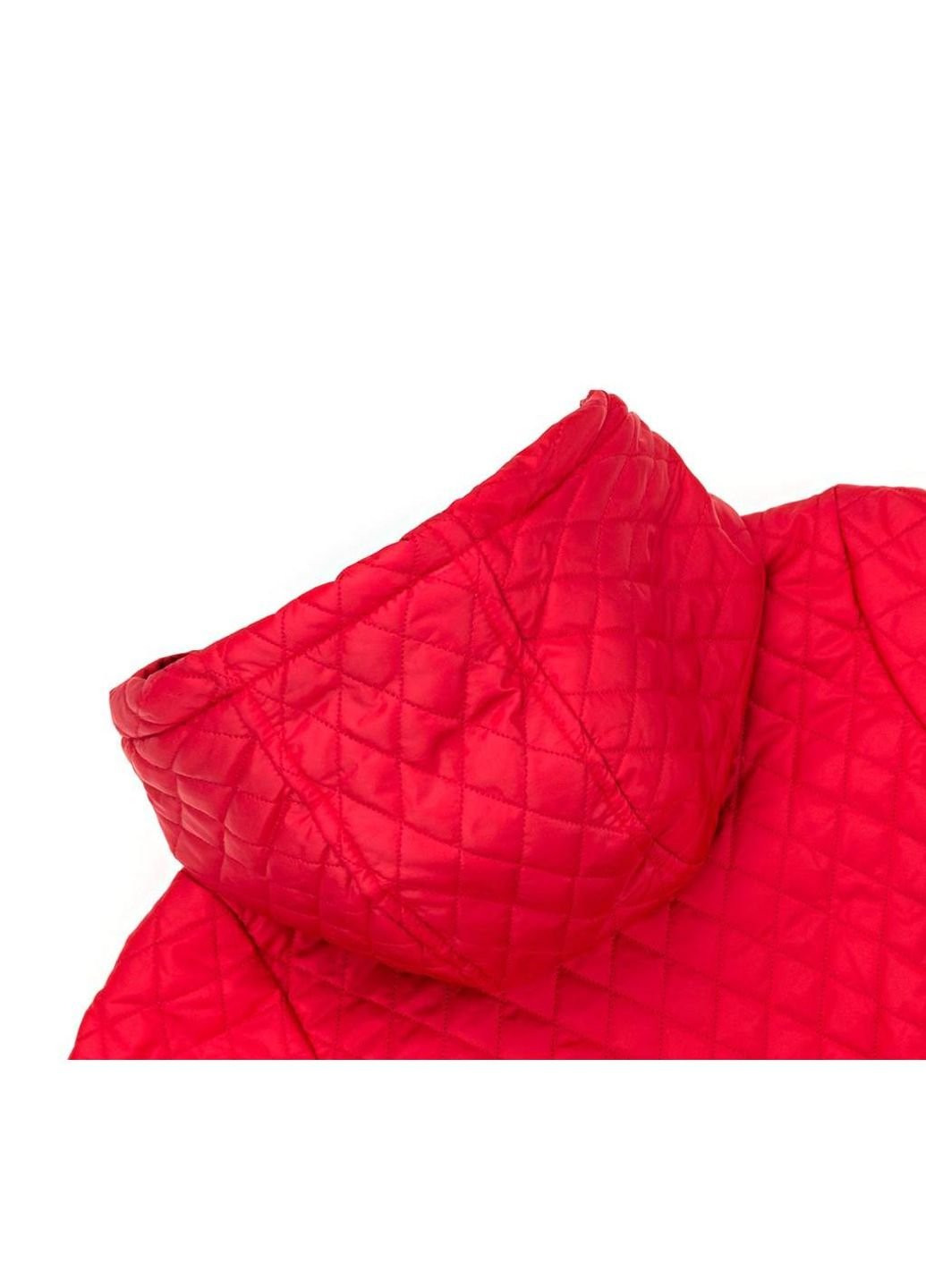 Красная демисезонная куртка стеганая с капюшоном (3439-98b-red) Verscon