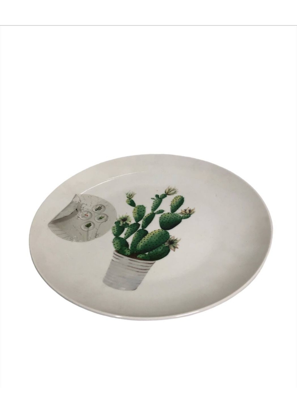 Декоративная тарелка на стену "Растение-Кактус" 22,5 х 2,5 см EDEKA (255243114)