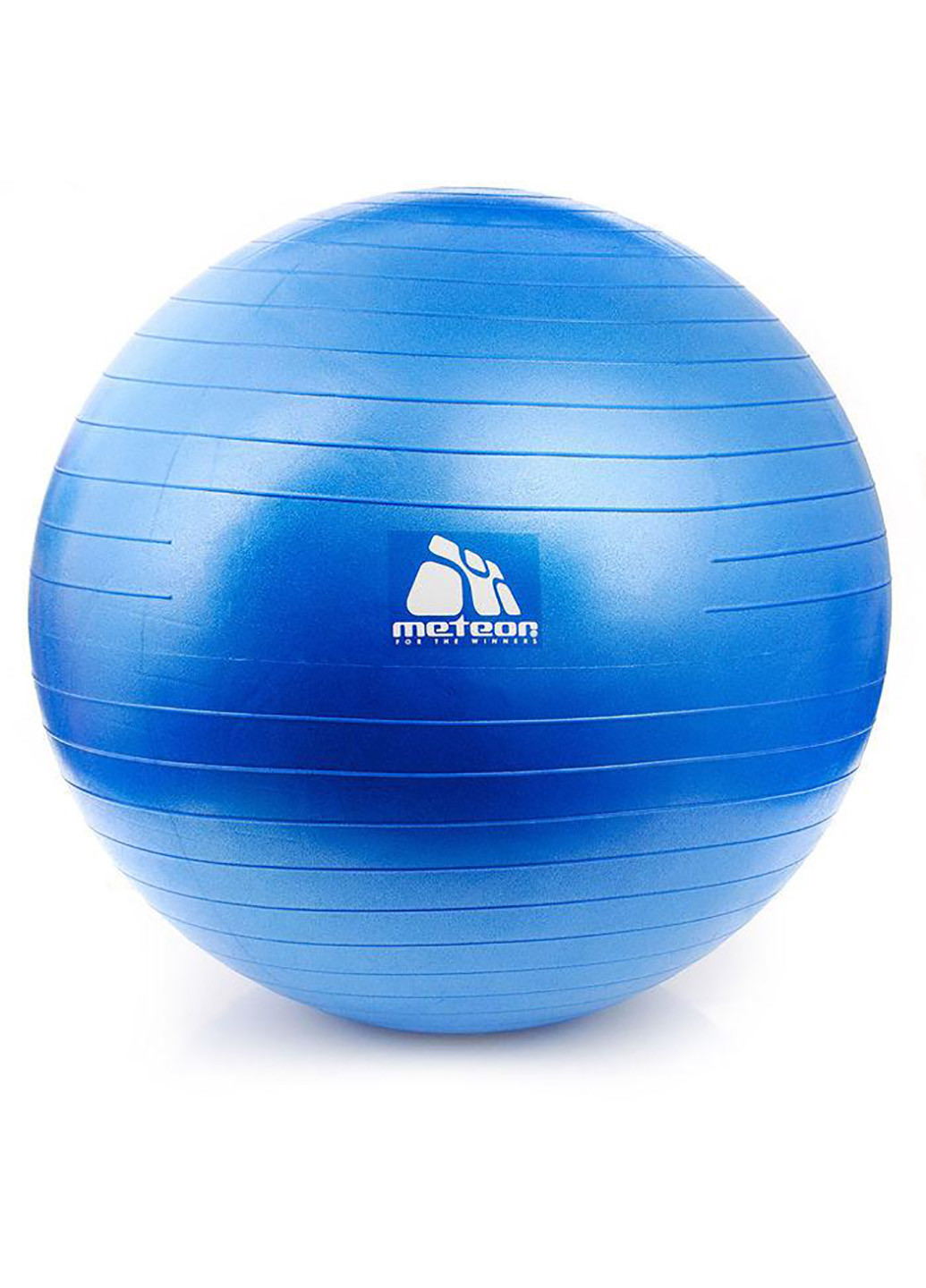 М'яч для фітнесу з насосом 65 см Meteor (224999503)