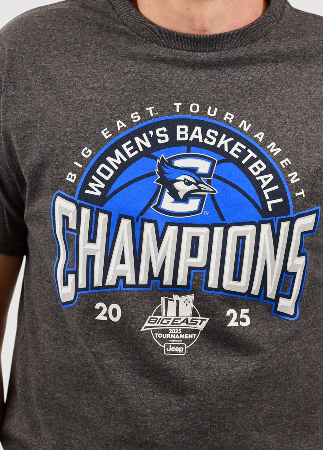 Сіра футболка Canvas