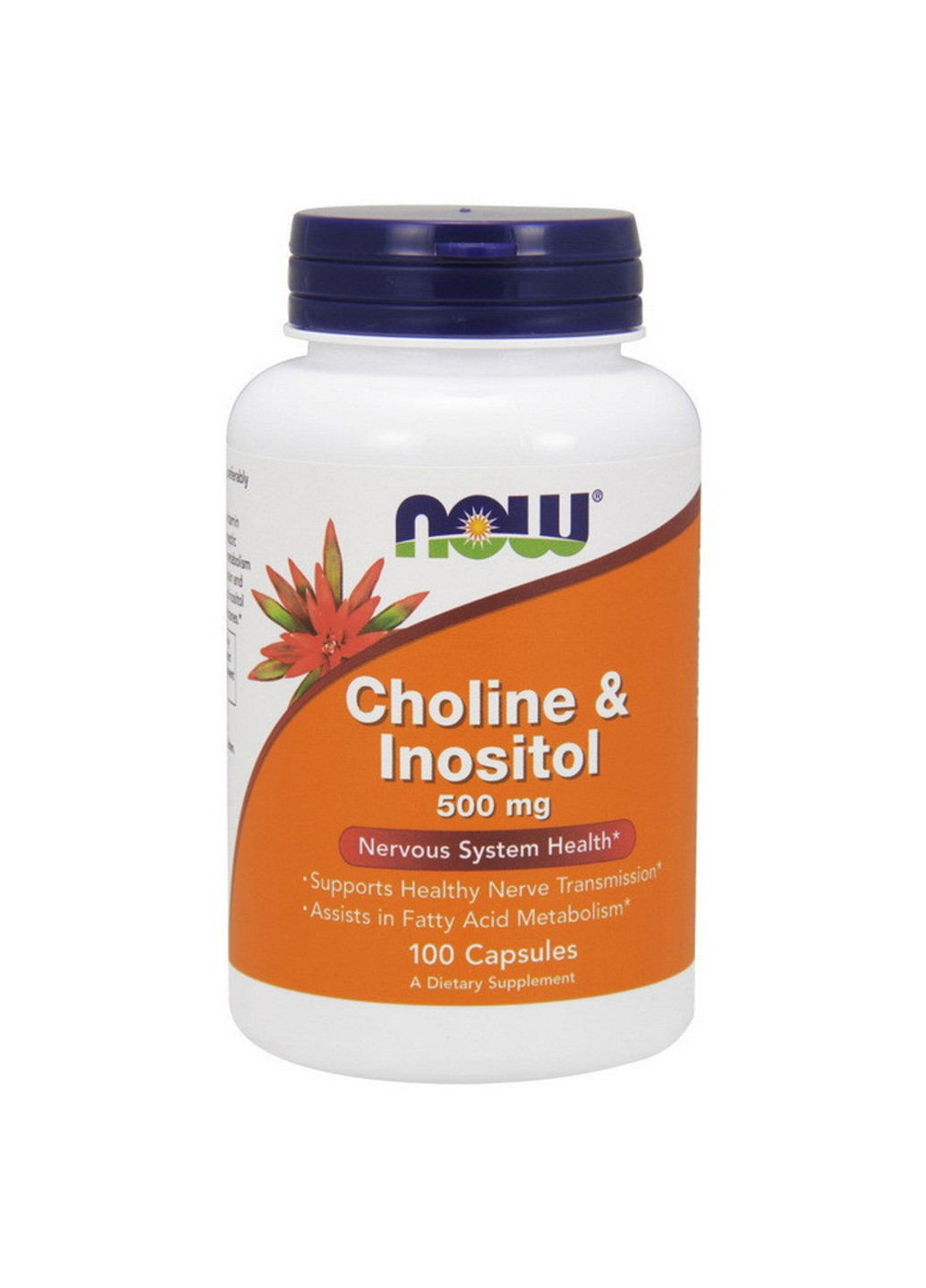 Холін і Інозитол Choline & Inositol 500 mg (100 капс) нау фудс Now Foods (255410117)