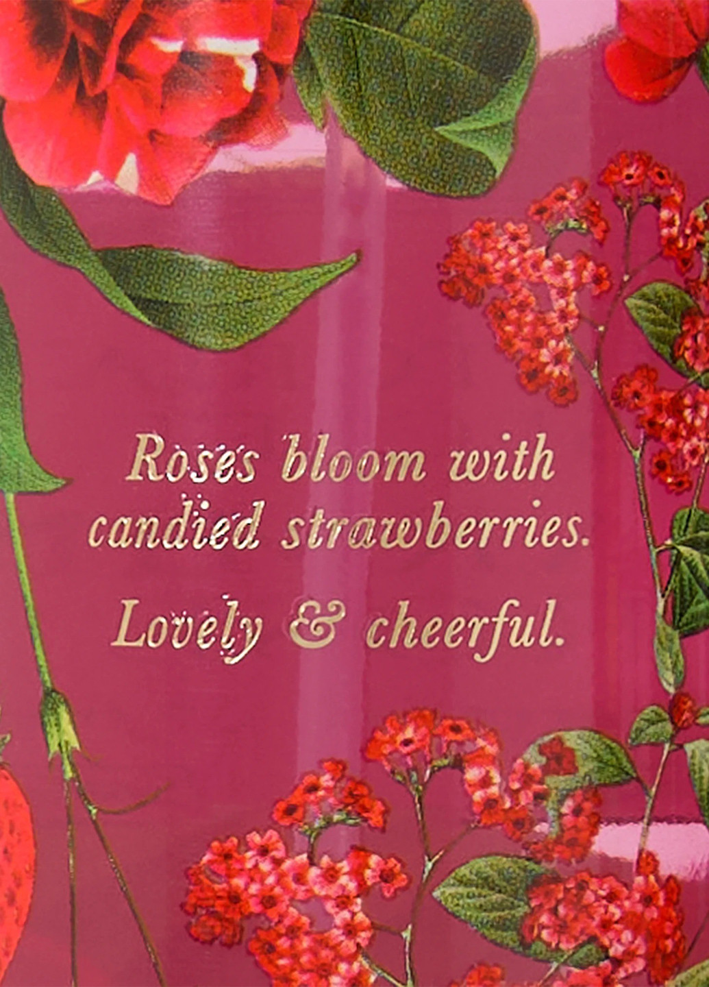 Набір Charming Rose (лосьйон, міст) Victoria's Secret (325923153)