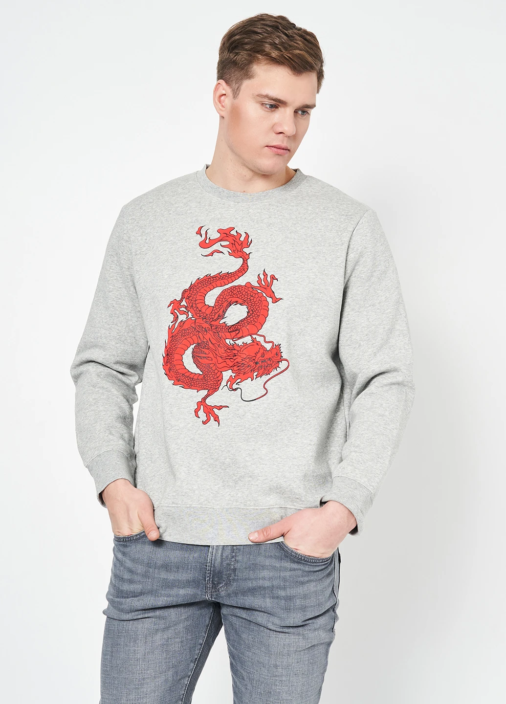 Серый свитшот H&M рисунок без декора (308472209)