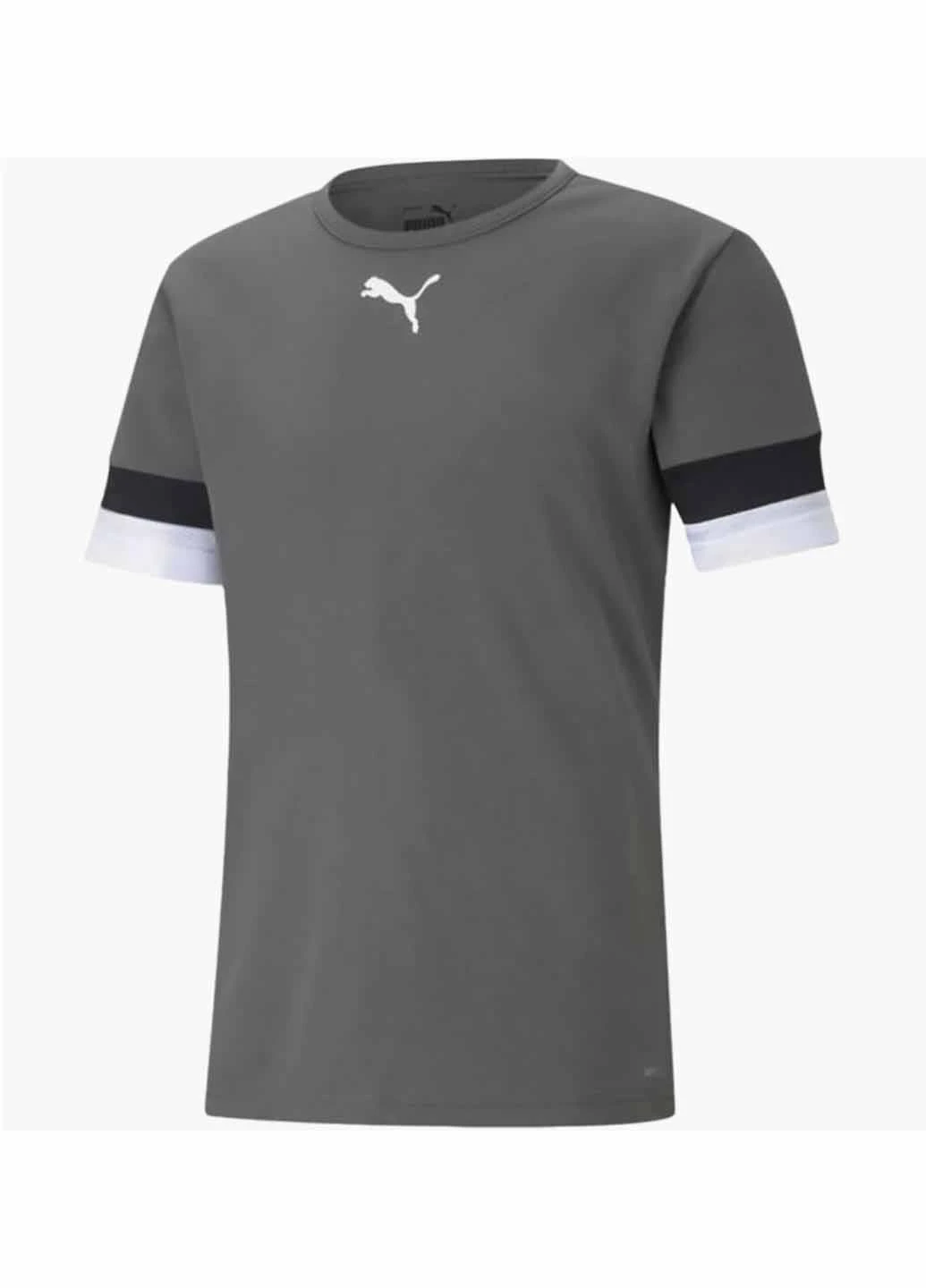 Сіра футболка 704932-13 Puma teamRISE Jersey