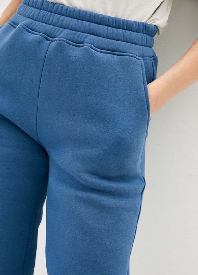 Синие спортивные демисезонные брюки Forly