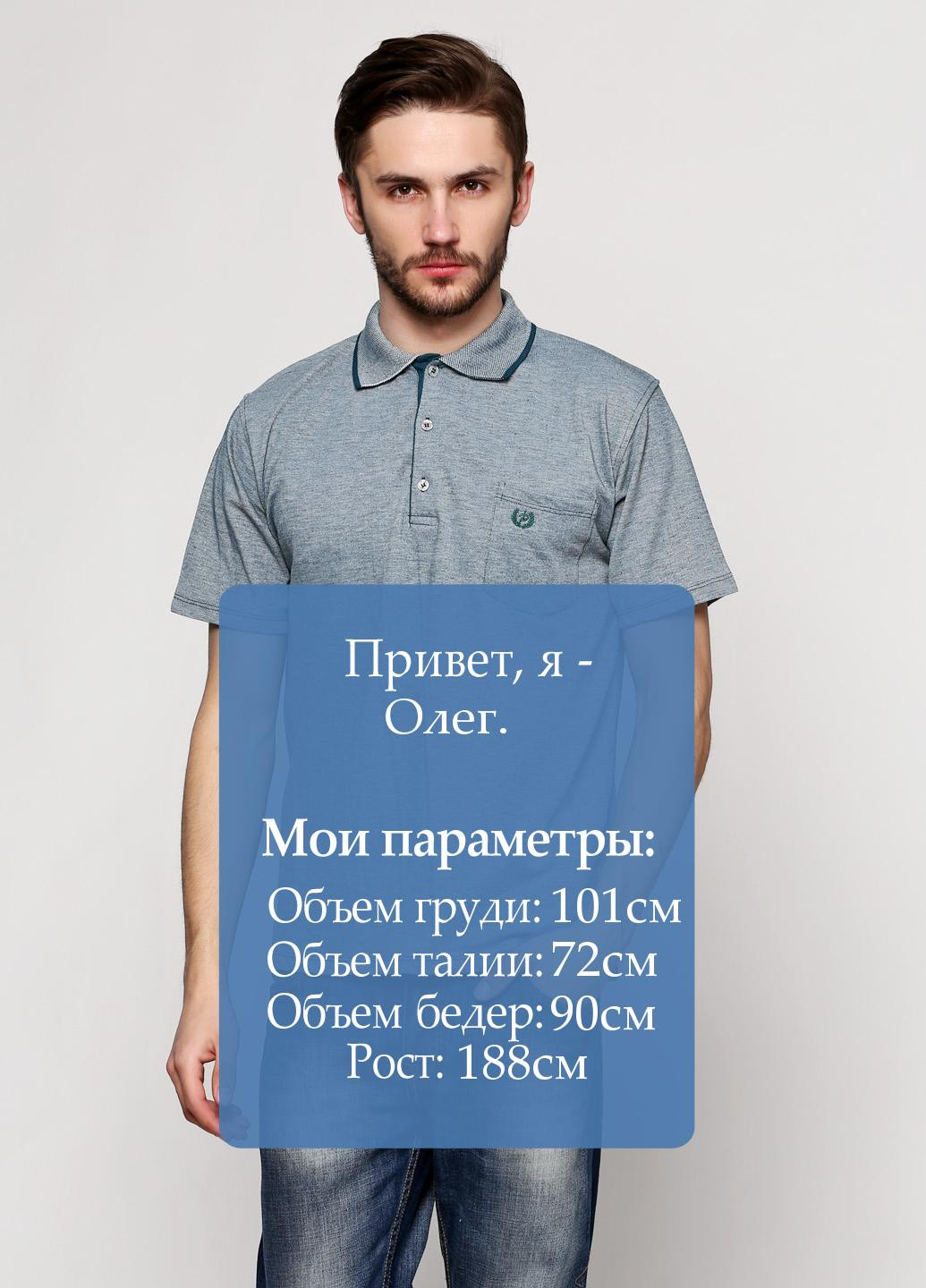Серая футболка-поло для мужчин IPEK однотонная