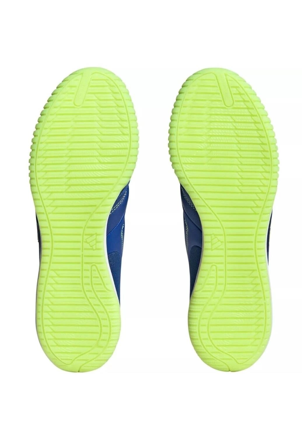 Синие футбольные футзалки fz6123 adidas