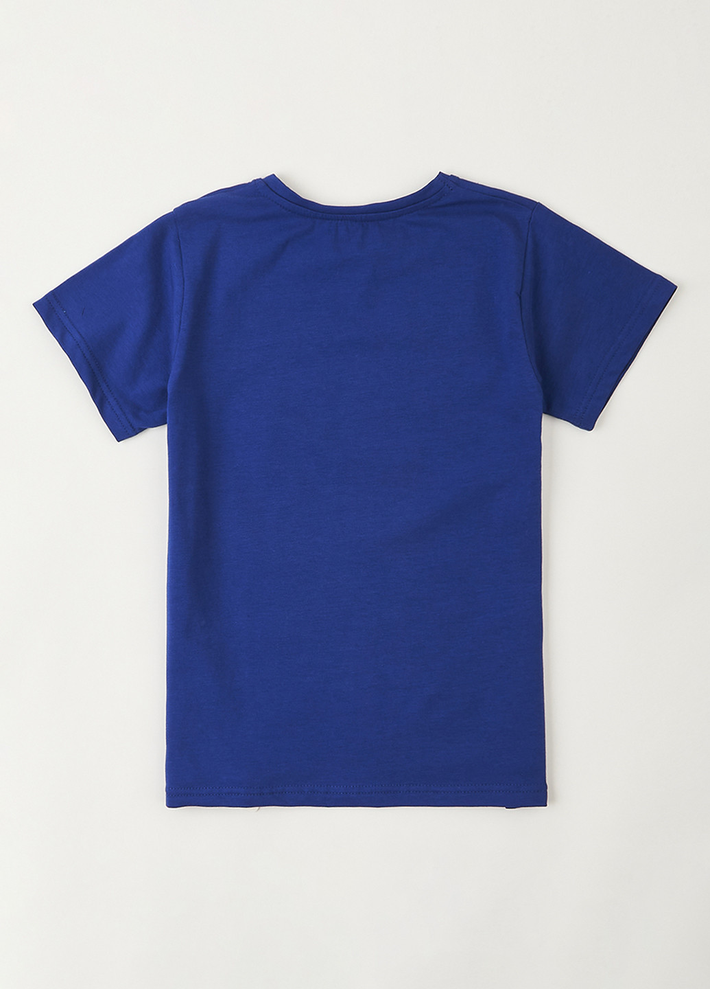 Синя літня футболка Flamingo