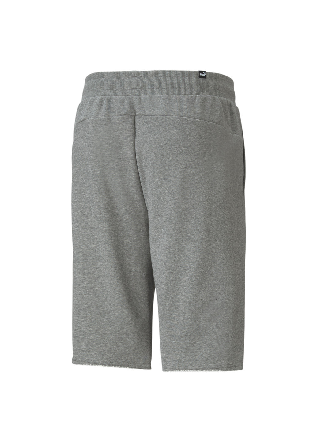 Шорты Essentials Men's Shorts Puma (252864355)