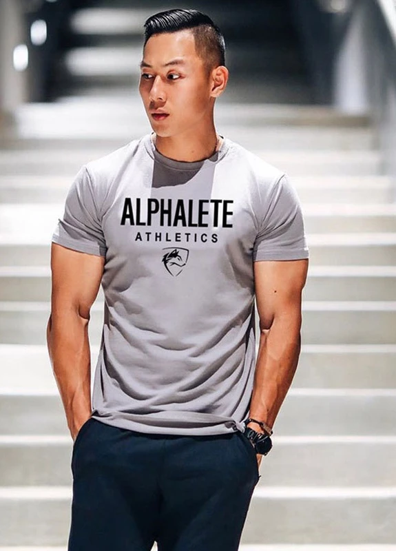 Сіра футболка чоловічі Alpha