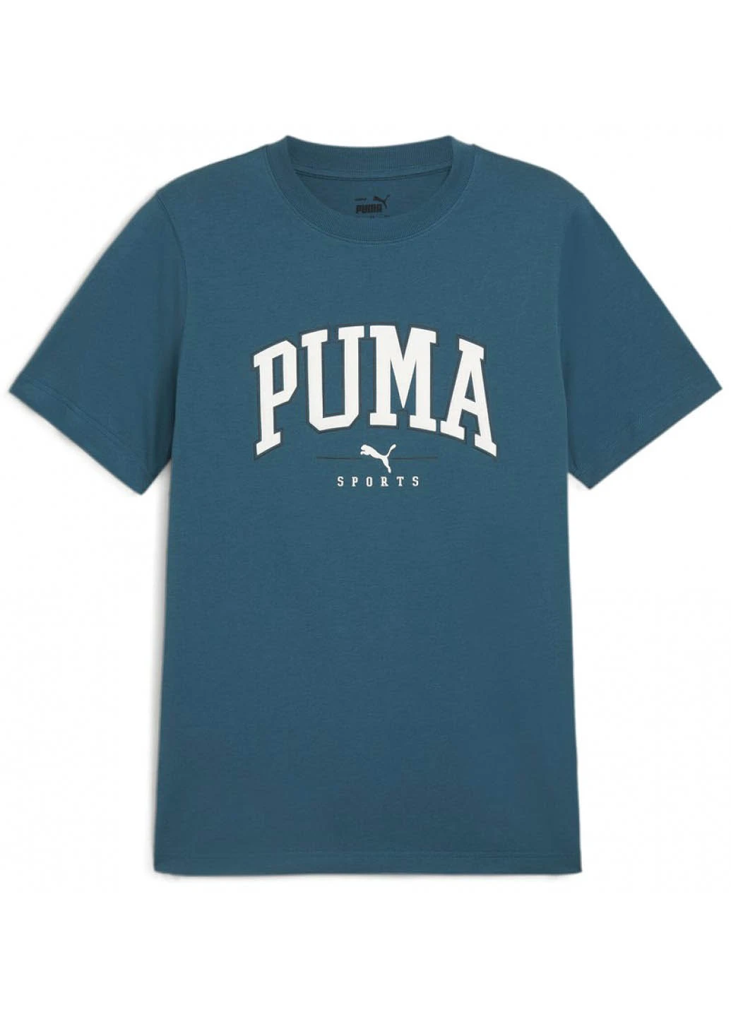 Бірюзова футболка Puma PUMA SQUAD Big Graphic Tee