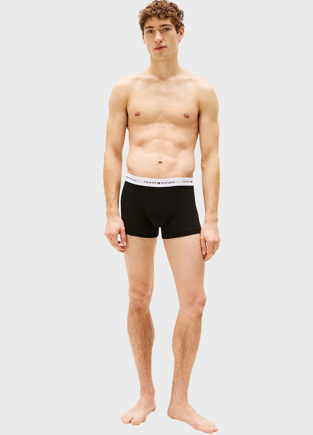 Труси (3 шт.) Tommy Hilfiger (347073412)